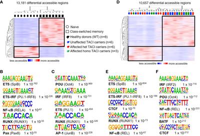 Multi-omics analysis of naïve B cells of patients harboring the C104R mutation in TACI